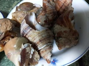 大連中山區(qū)二七廣場(chǎng)建材圖片,價(jià)格表,品牌大全,品牌排行榜 大連建材