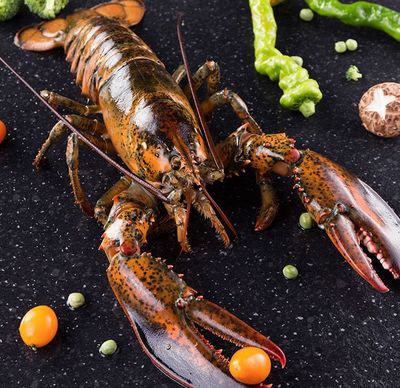 什么?波士頓龍蝦,不是來(lái)自波士頓?!