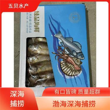 鮮蝦現(xiàn)在多少錢一斤