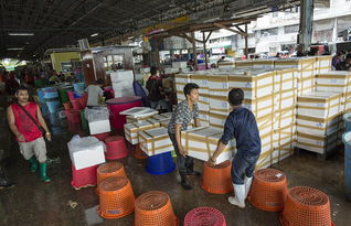 泰國海產加工廠雇黑工 每天工作16個小時